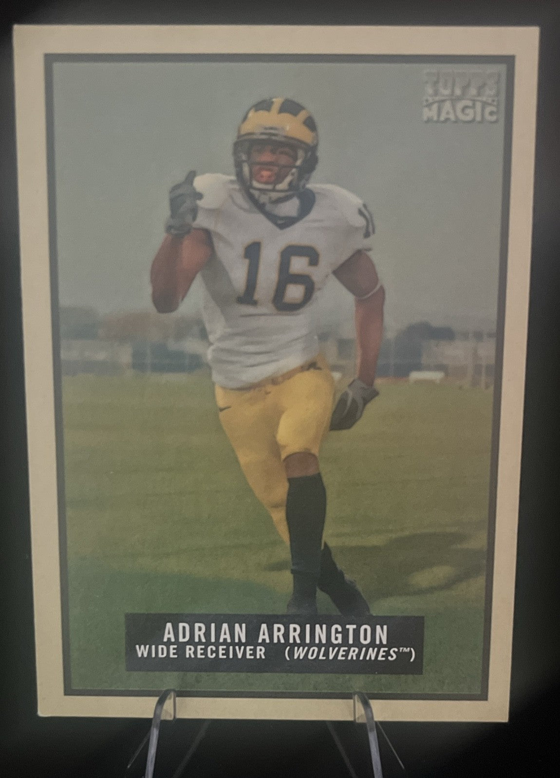 2009 Topps Magic - Adrian Arrington #141