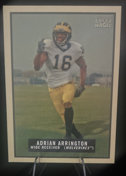 2009 Topps Magic - Adrian Arrington #141