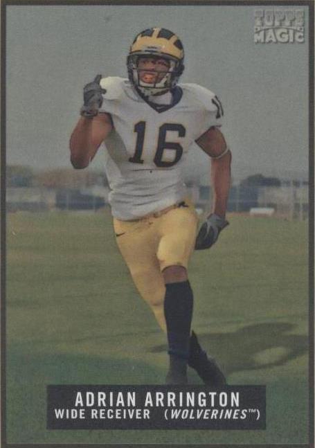 2009 Topps Magic - Adrian Arrington #141